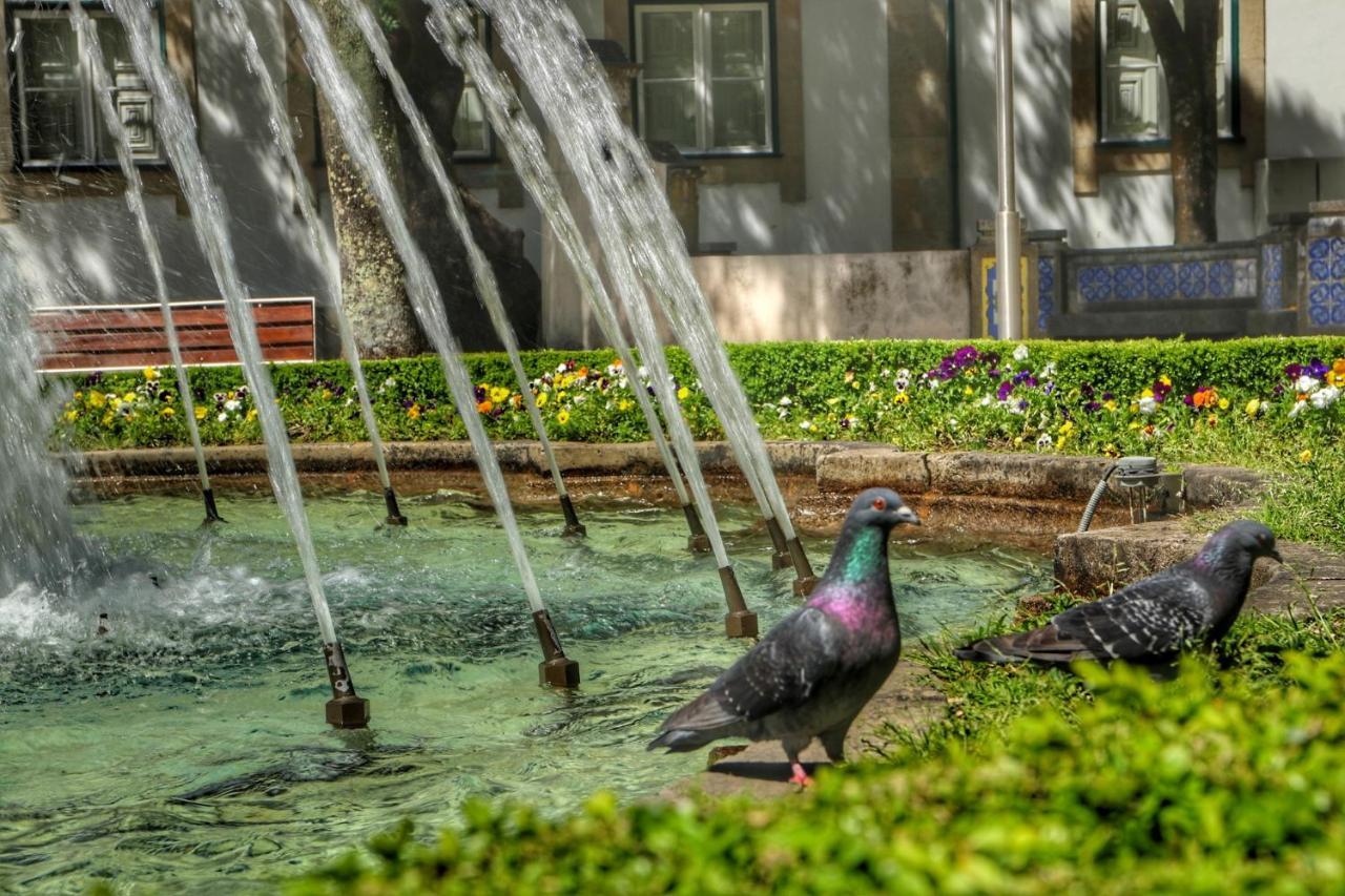 Casa Da Avo Zirinha Villa Viseu Buitenkant foto